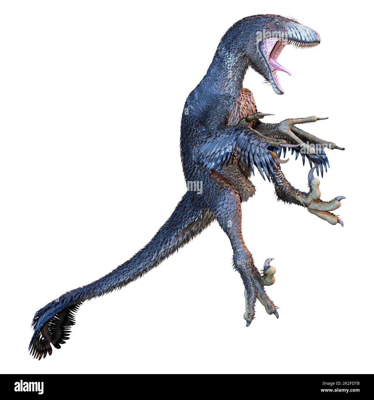 3D Rendering Dinosur Dakotaraptor on White Stock Photo - Alamy