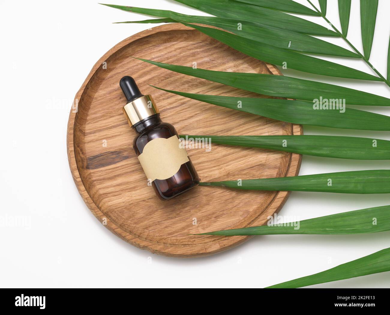 Oil palm background hi-res stock photography and images - Alamy