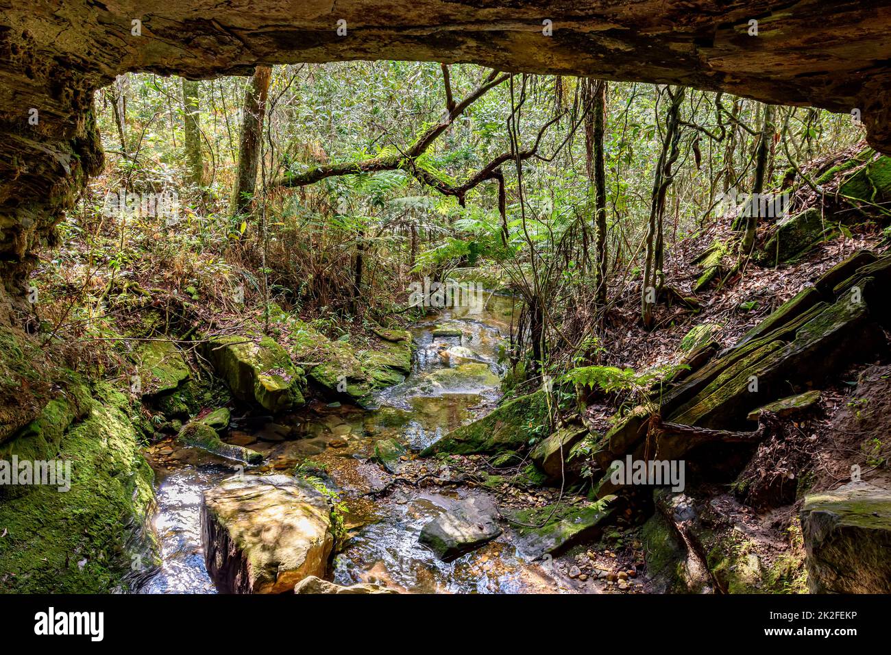 Rainforest cave interior with small river and tropical forest Stock Photo