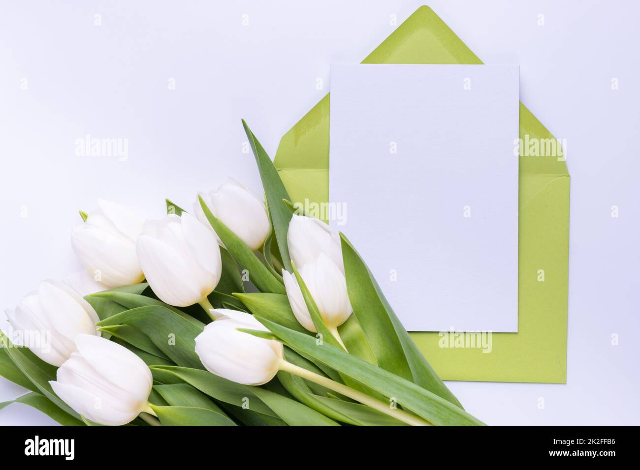 Greeting card template in an envelope with tulips bouquet . Spring holiday concept. Stock Photo