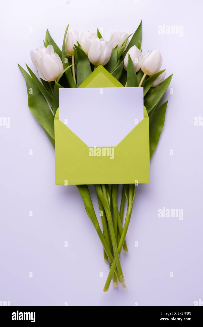 Greeting card template in an envelope with tulips bouquet . Spring holiday concept. Stock Photo