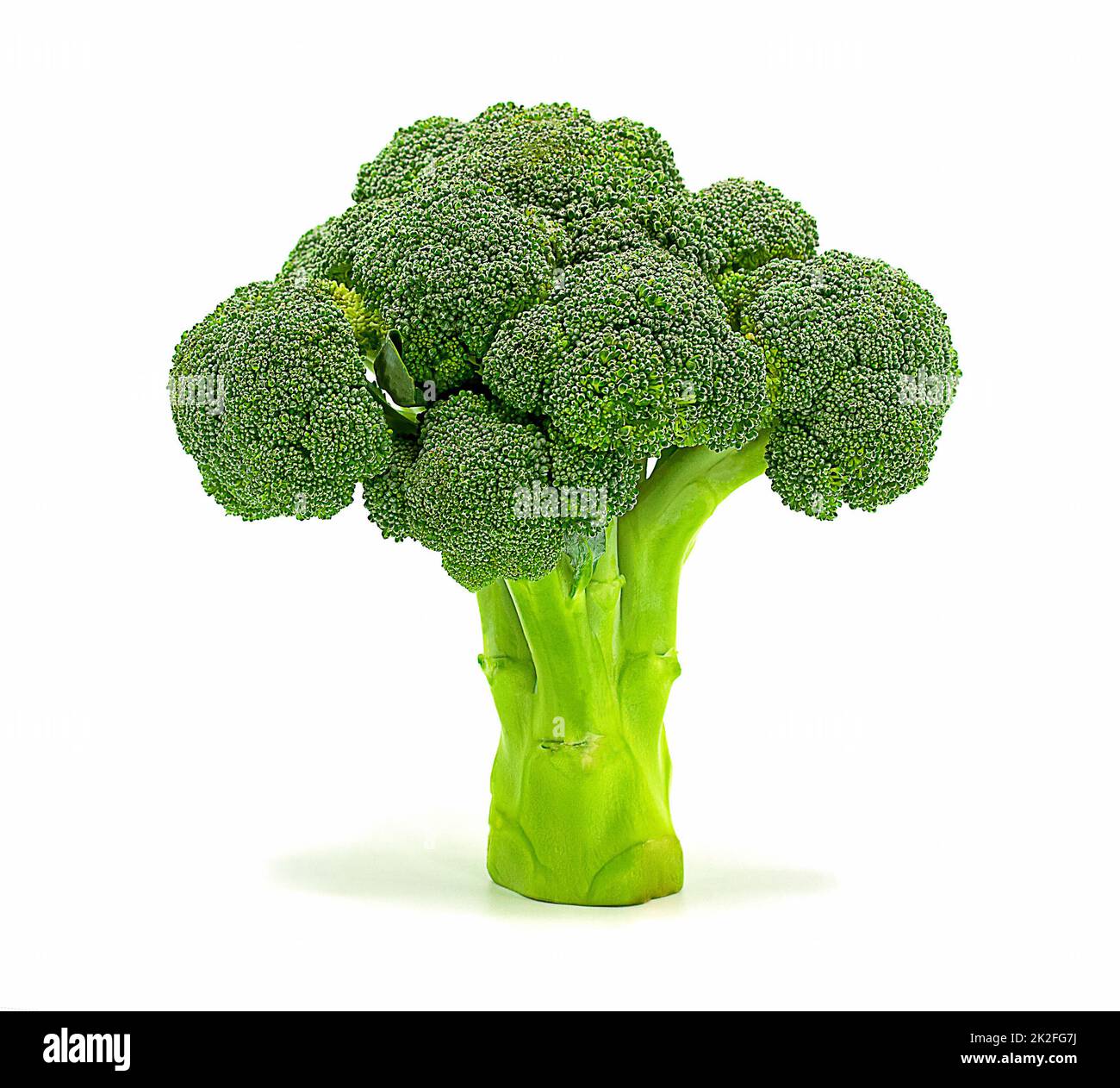Broccoli isolated on white background,Closeup Stock Photo