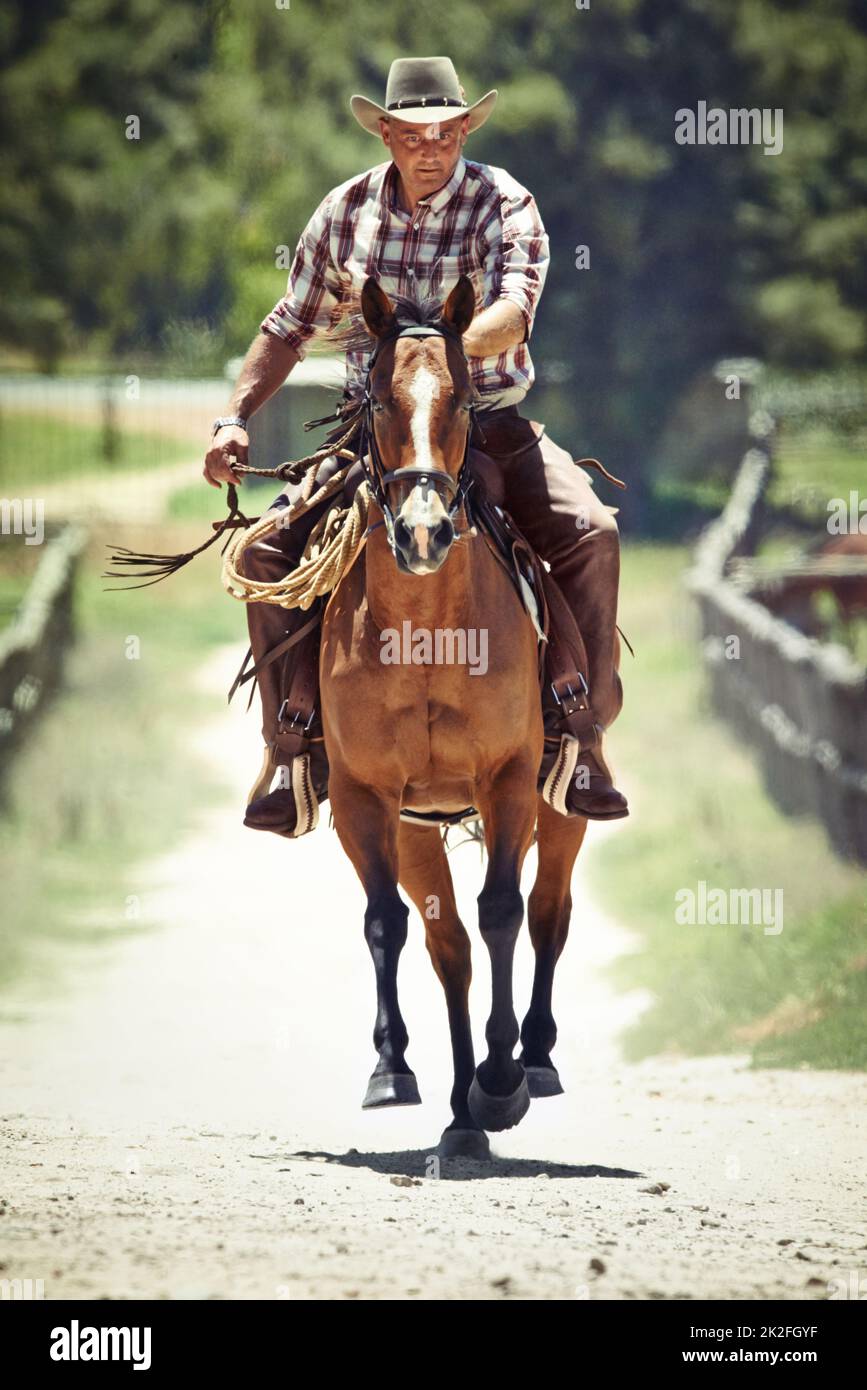 Cowboy on his horse hi-res stock photography and images - Alamy
