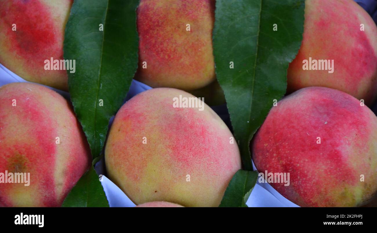 Ripe peaches of the new harvest Stock Photo - Alamy