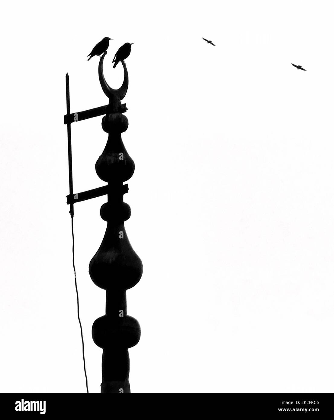 crow birds perching at the end of the mosque minaret, mosque minaret and birds, minaret and bird silhouettes Stock Photo