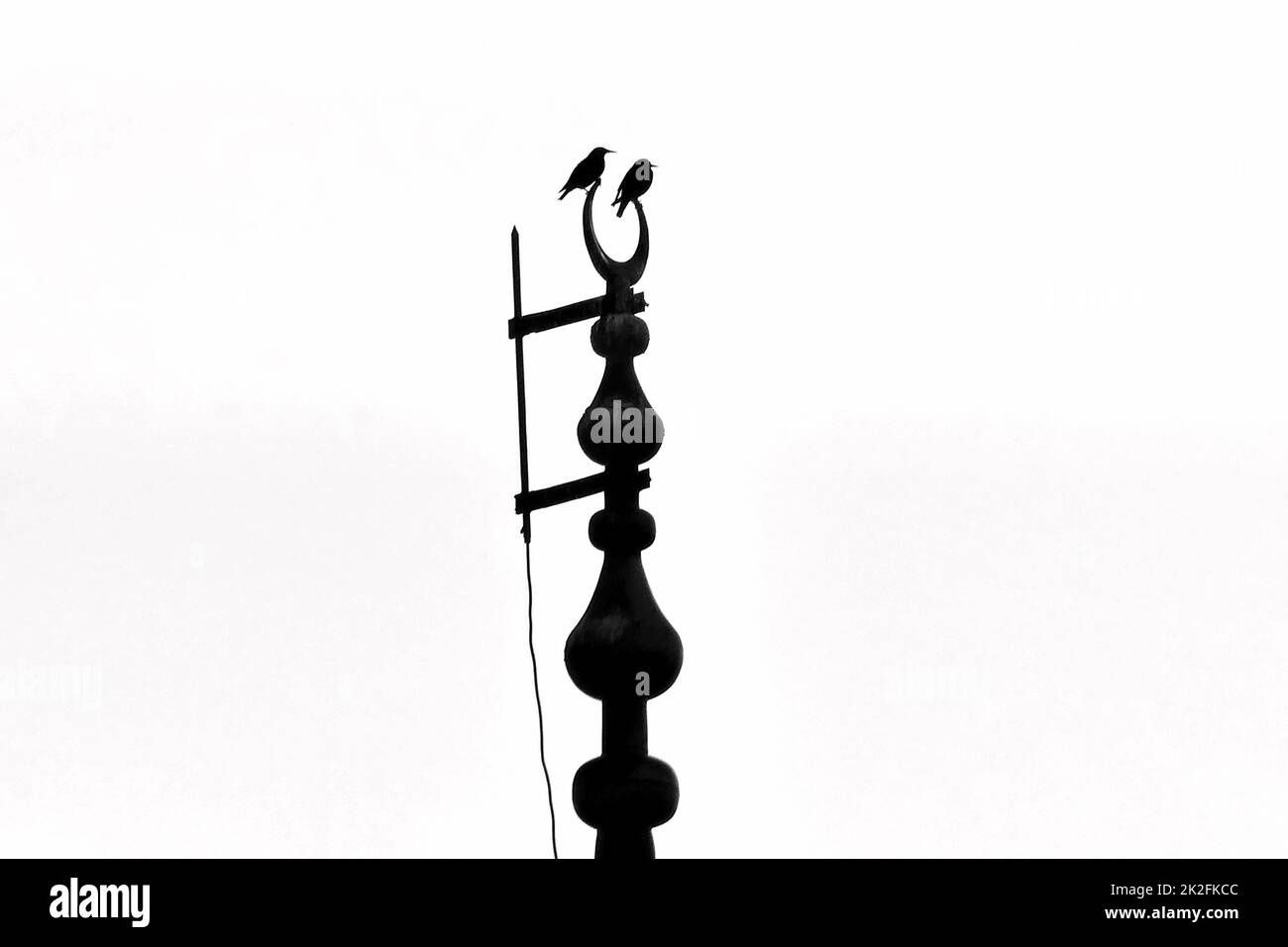 crow birds perching at the end of the mosque minaret, mosque minaret