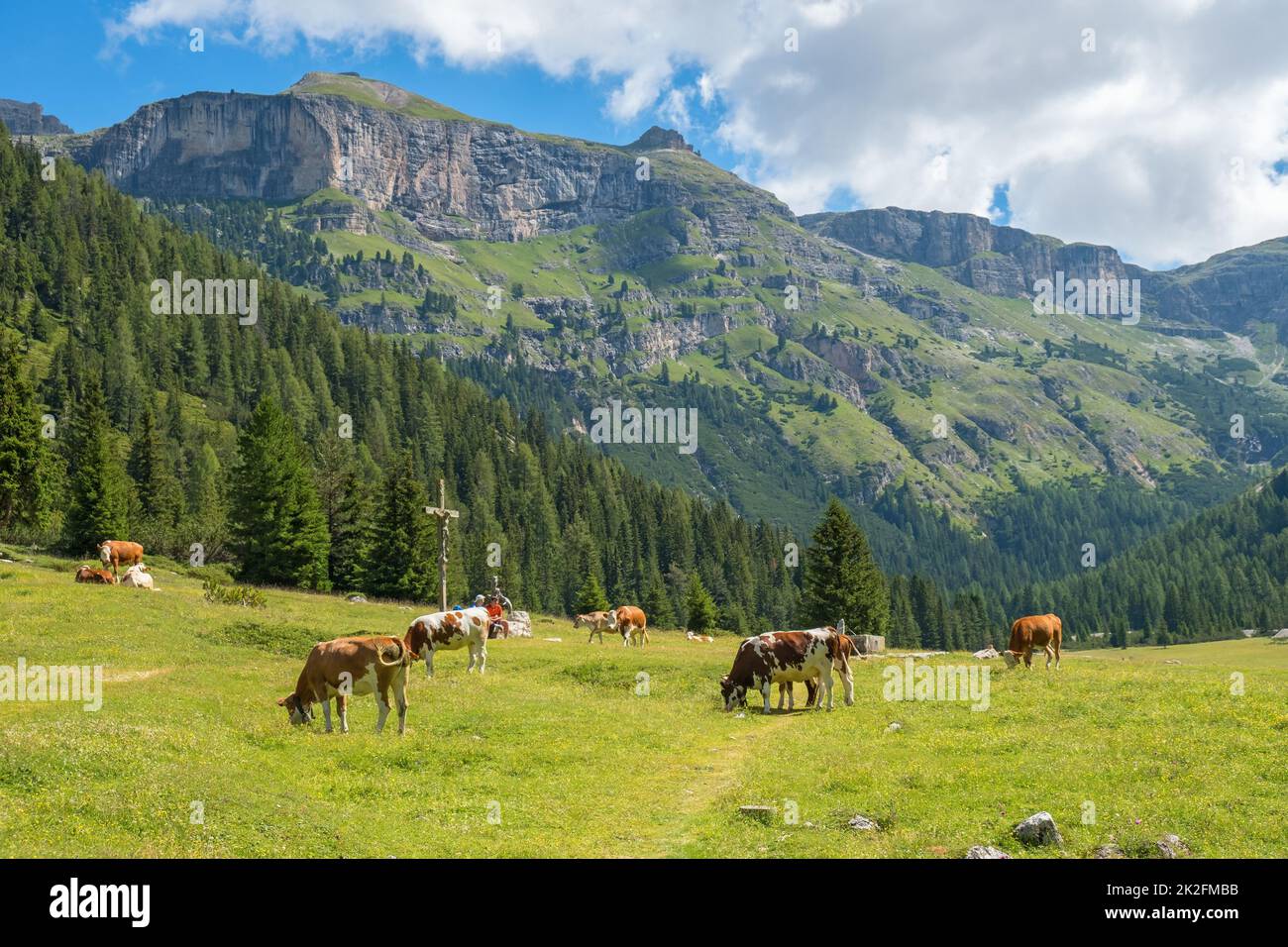 Beautiful alp valley with grazing cows Stock Photo