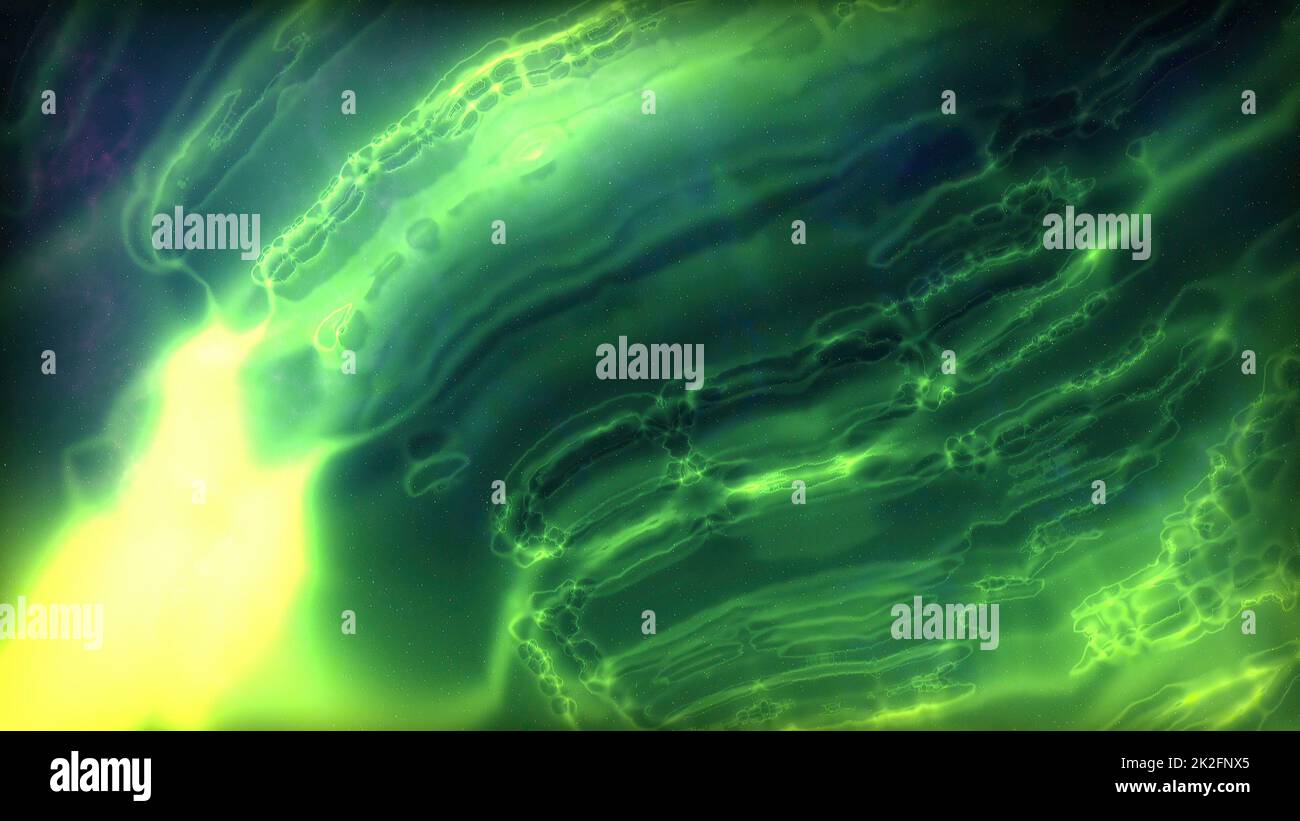 Plant cell microscope onion hi-res stock photography and images - Alamy