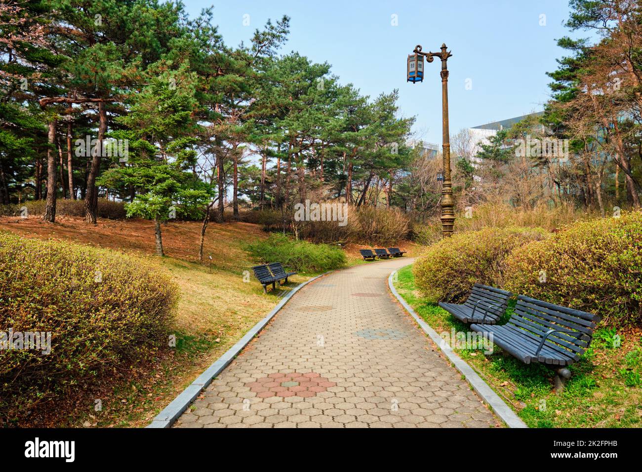 Yeouido Park in Seoul, Korea Stock Photo