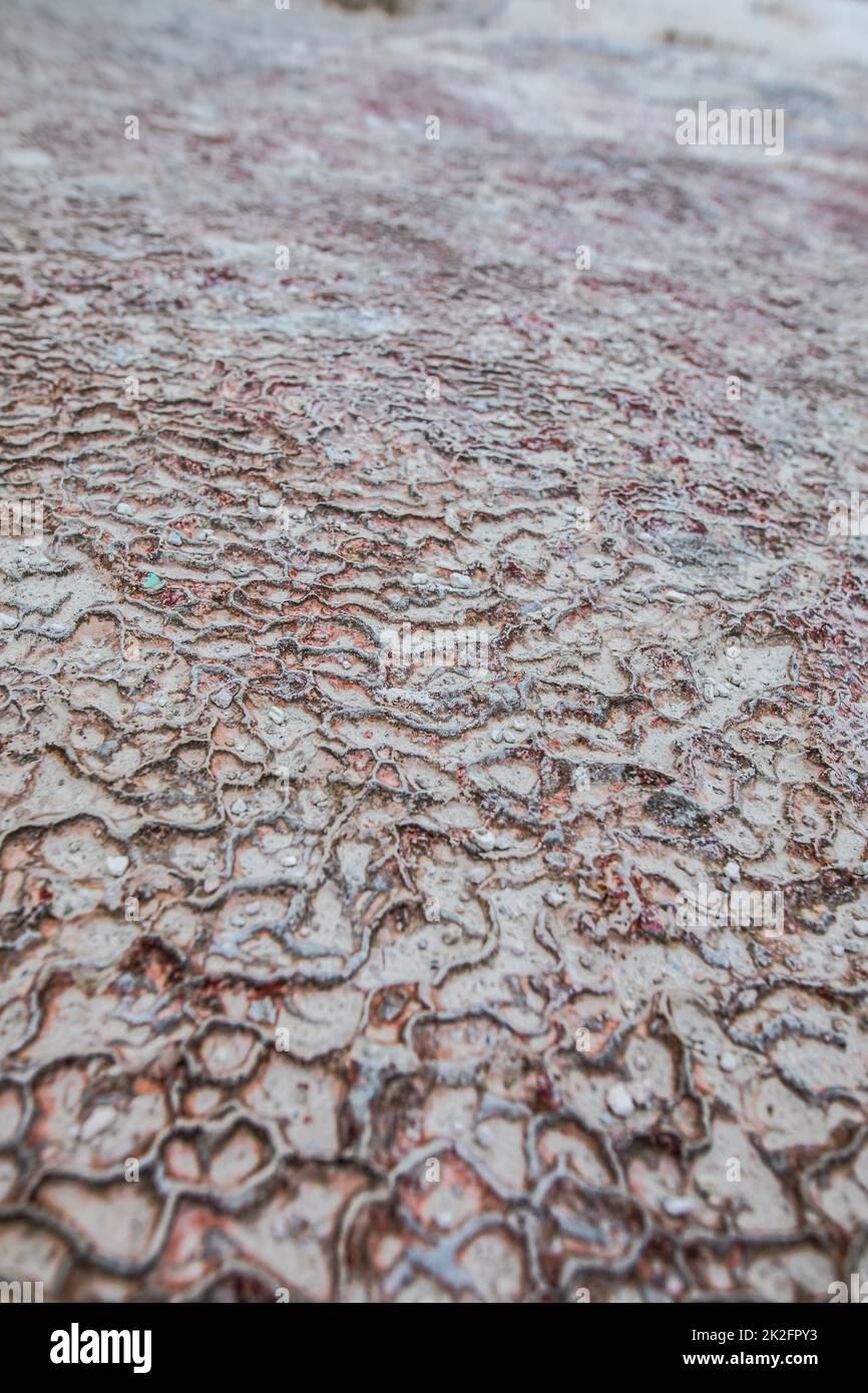 Travertine terraces in Pamukkale, Turkey Stock Photo - Alamy