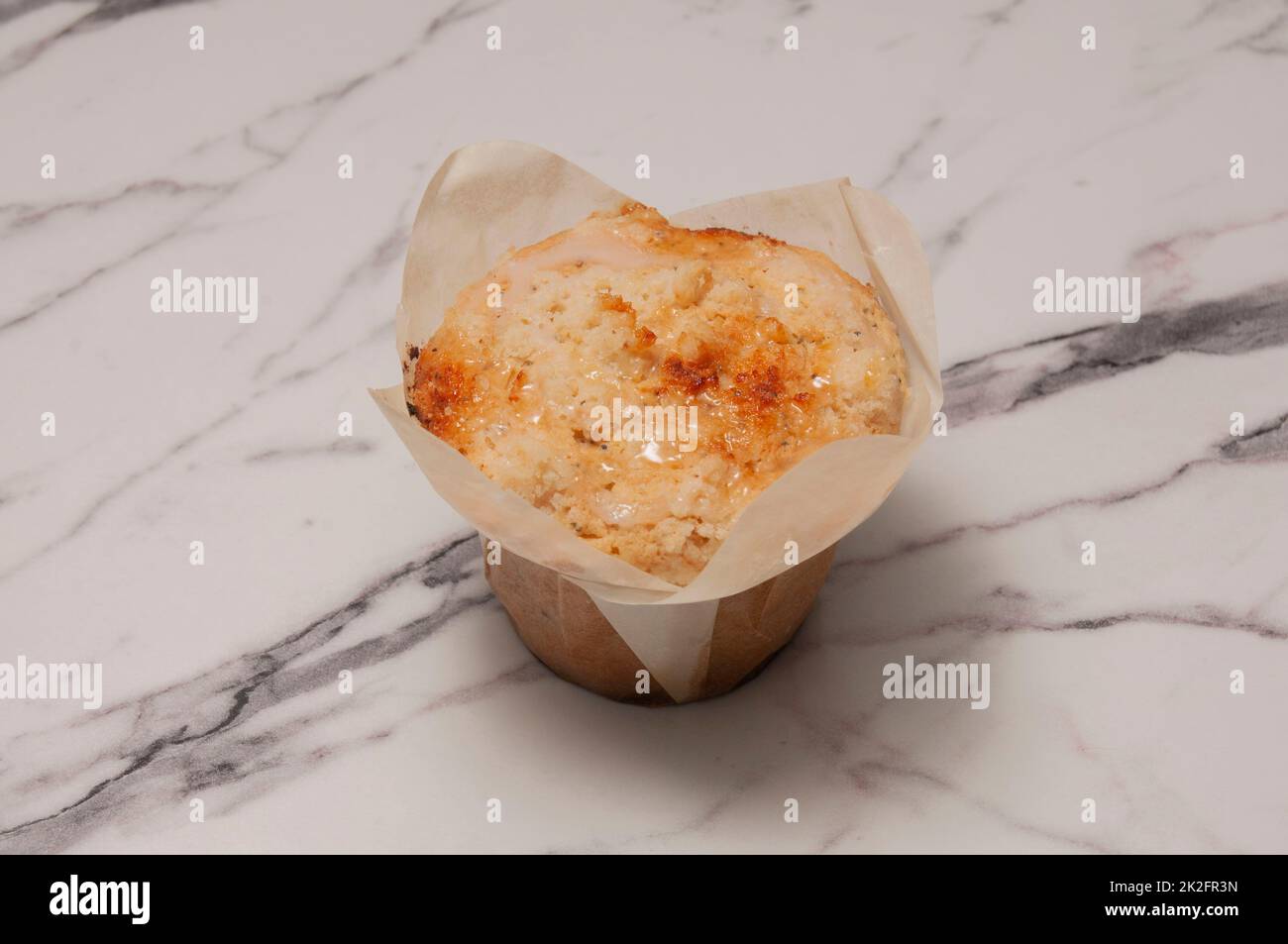 lemon and poppy seed muffin