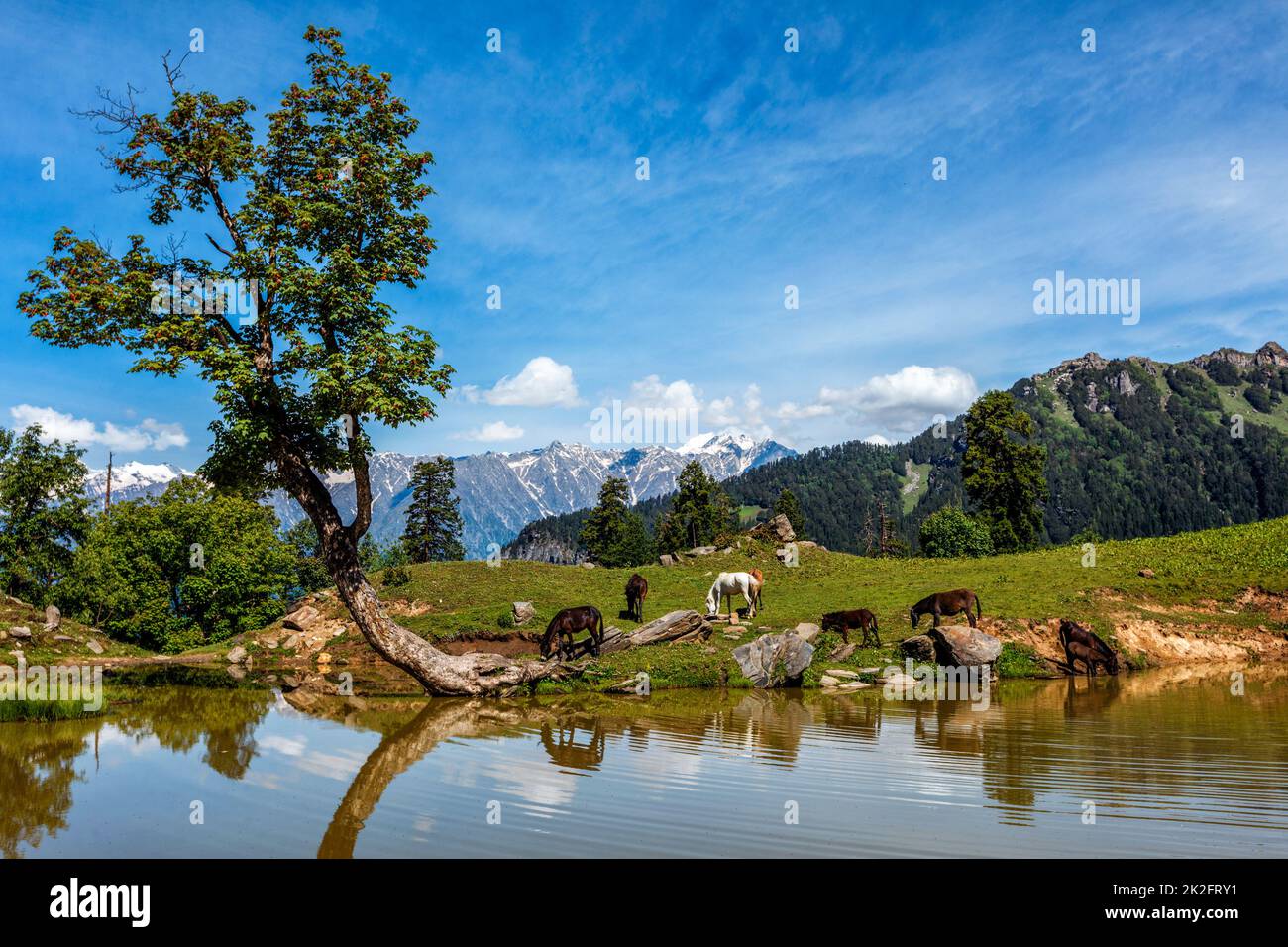 Indian Himalayan landscape in Himalayas Stock Photo - Alamy