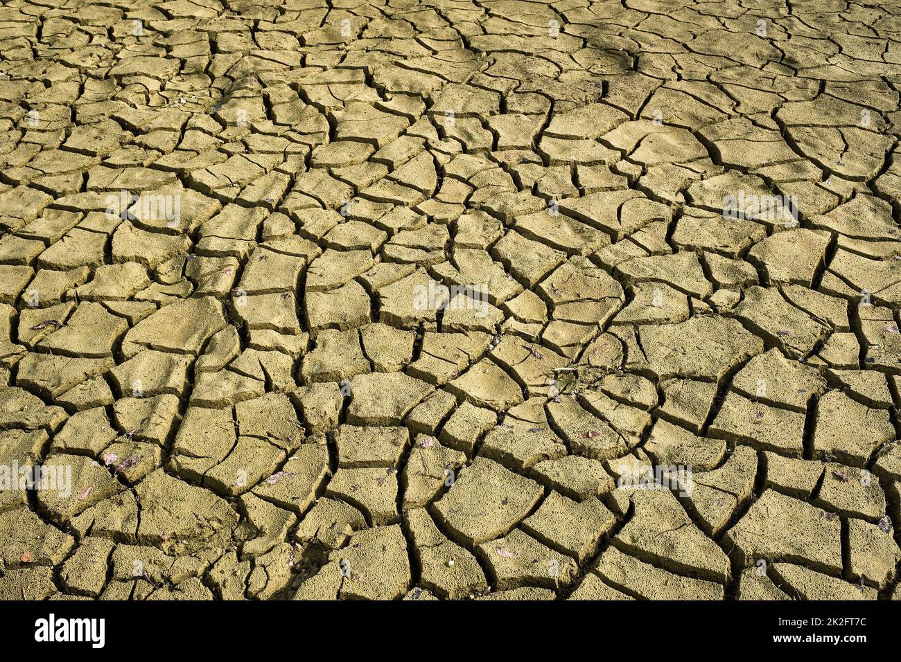 Cracked dry earth with cracks texture Stock Photo