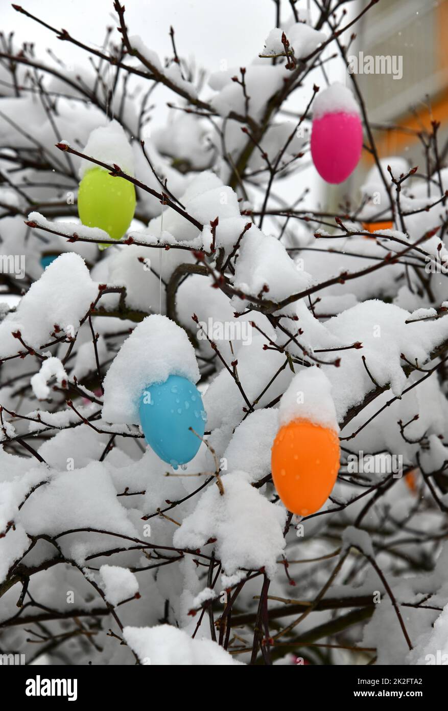 Colorful easter eggs with fresh snow Stock Photo
