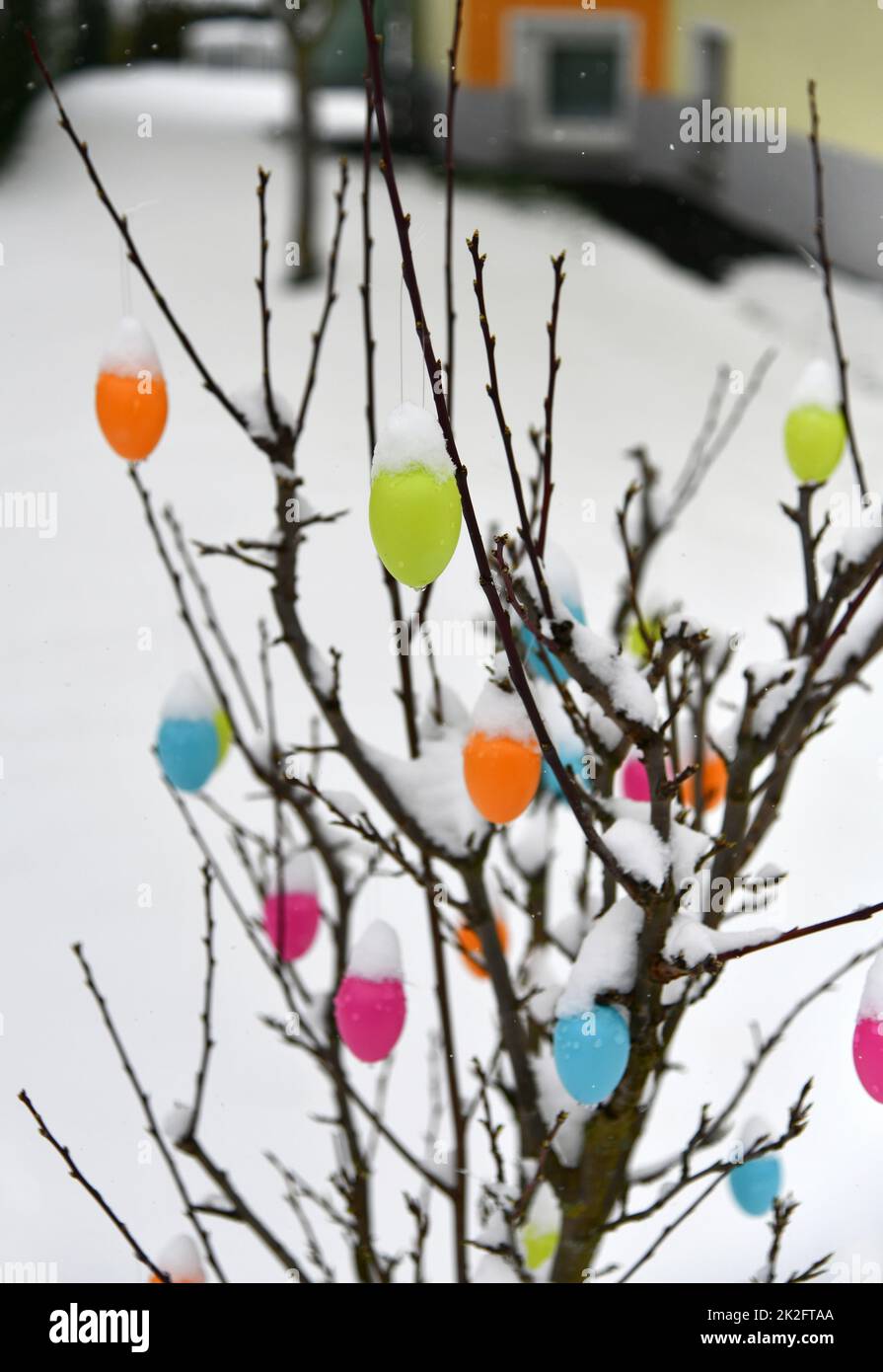 Colorful easter eggs with fresh snow Stock Photo
