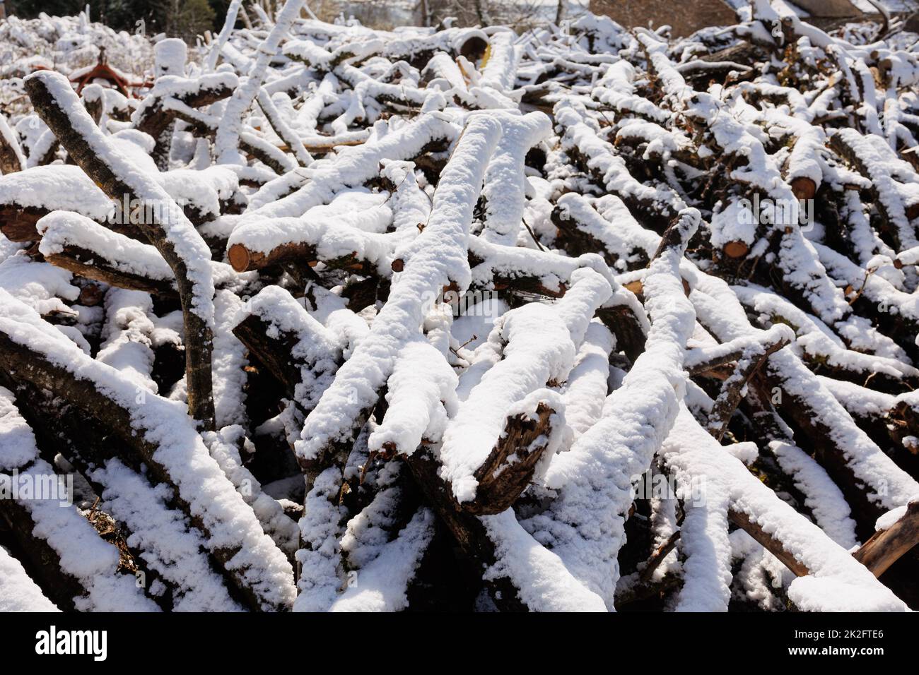 Large firewood stack in winter covered with snow Stock Photo