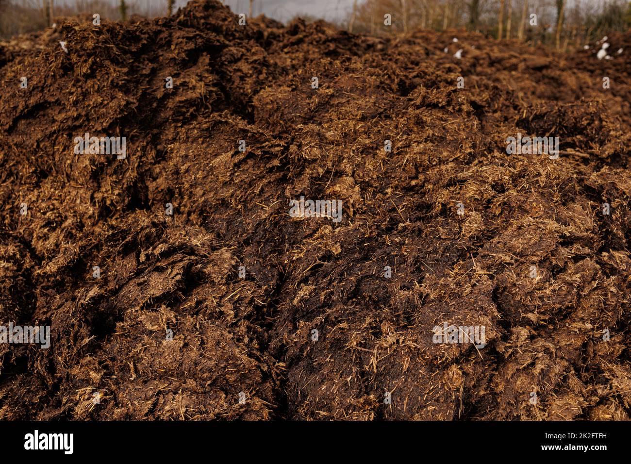 Brown cow manure natural fertilizer Stock Photo Alamy