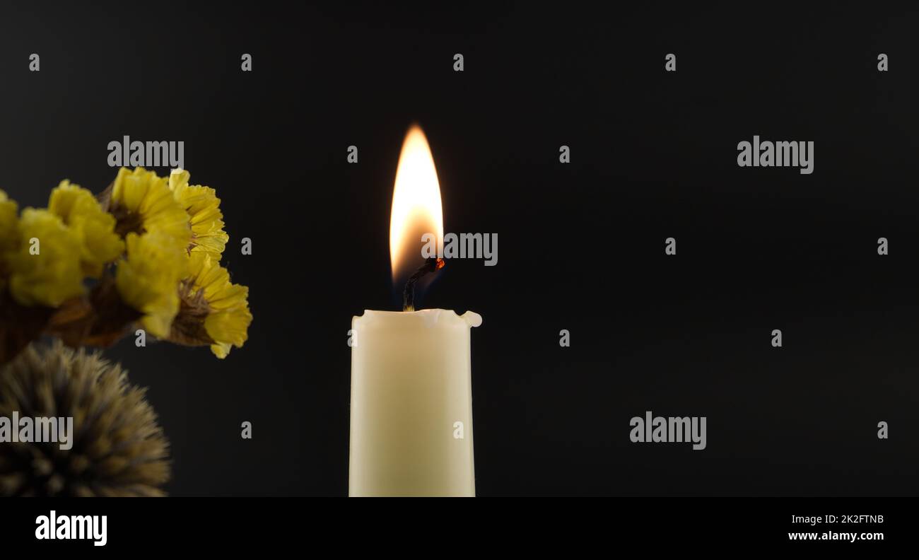 Burning candle and flowers in the darkness Stock Photo