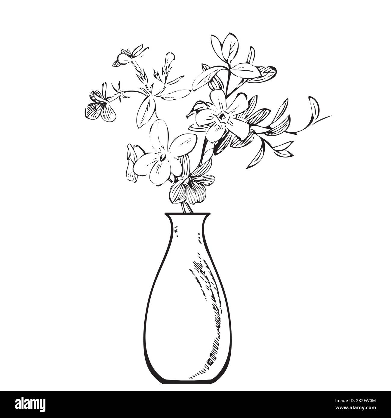 Linear bouquet wildflowers in vase, engraving sketch isolated on white