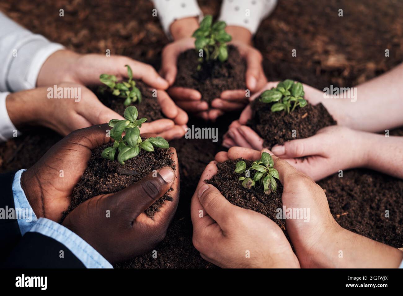 Work together, grow together. Cropped shot of a group of businesspeople holding plants growing out of soil. Stock Photo
