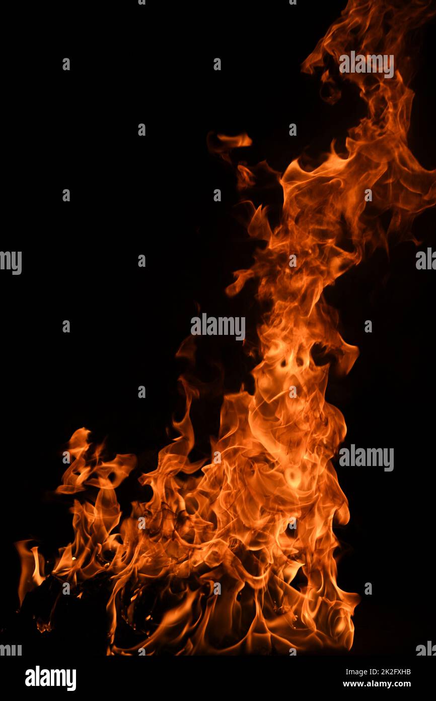 The fire, burning flame. Large burning flaming fire. Stock Photo