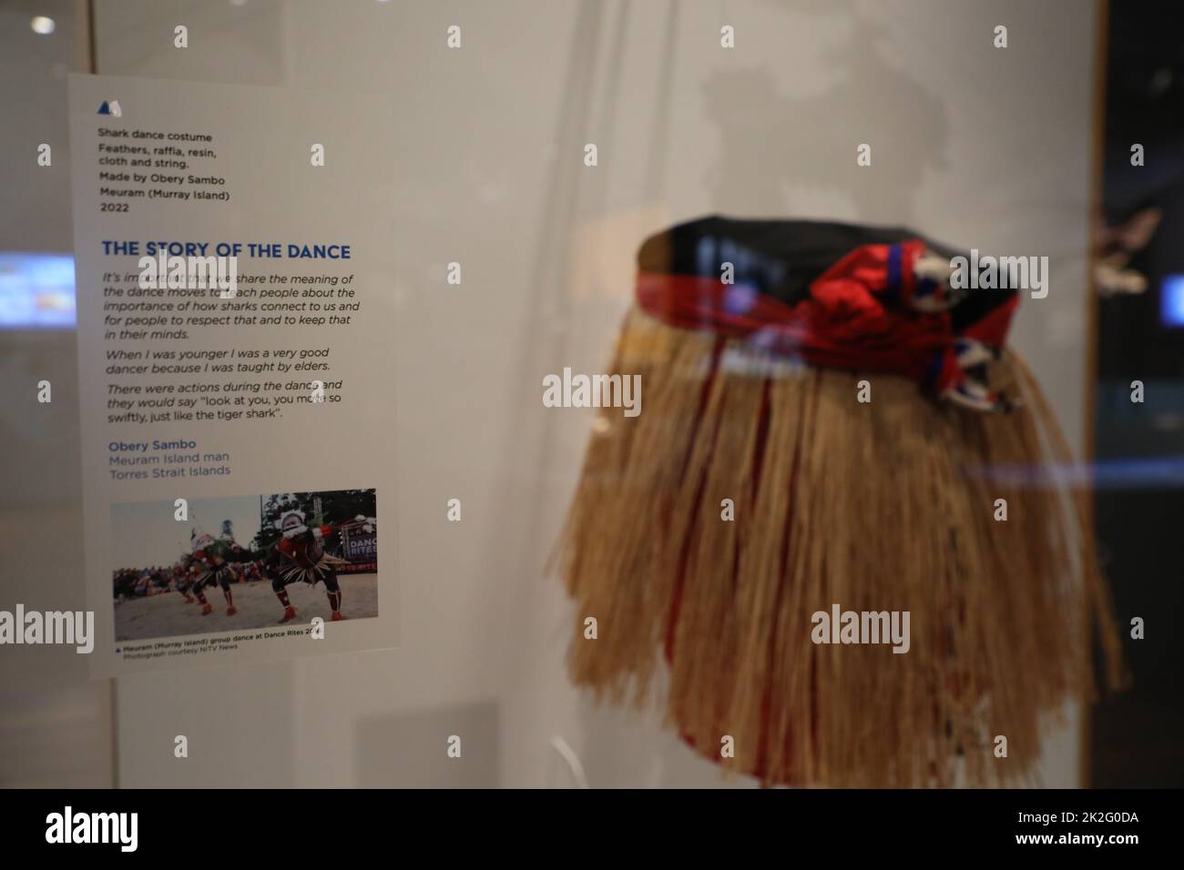 Shark costume australia hires stock photography and images Alamy