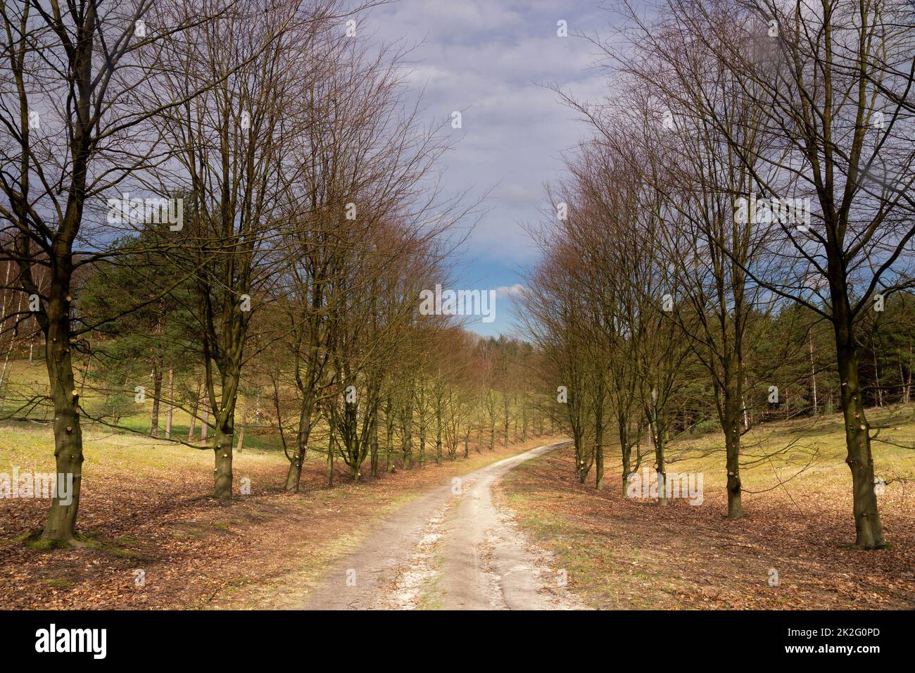 Curved path through the nature reserve De Paltz near Soest Stock Photo