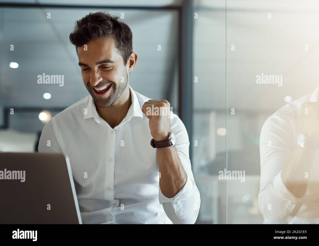 It went through. Cropped shot of a handsome young businessman cheering while working on his laptop in the office. Stock Photo