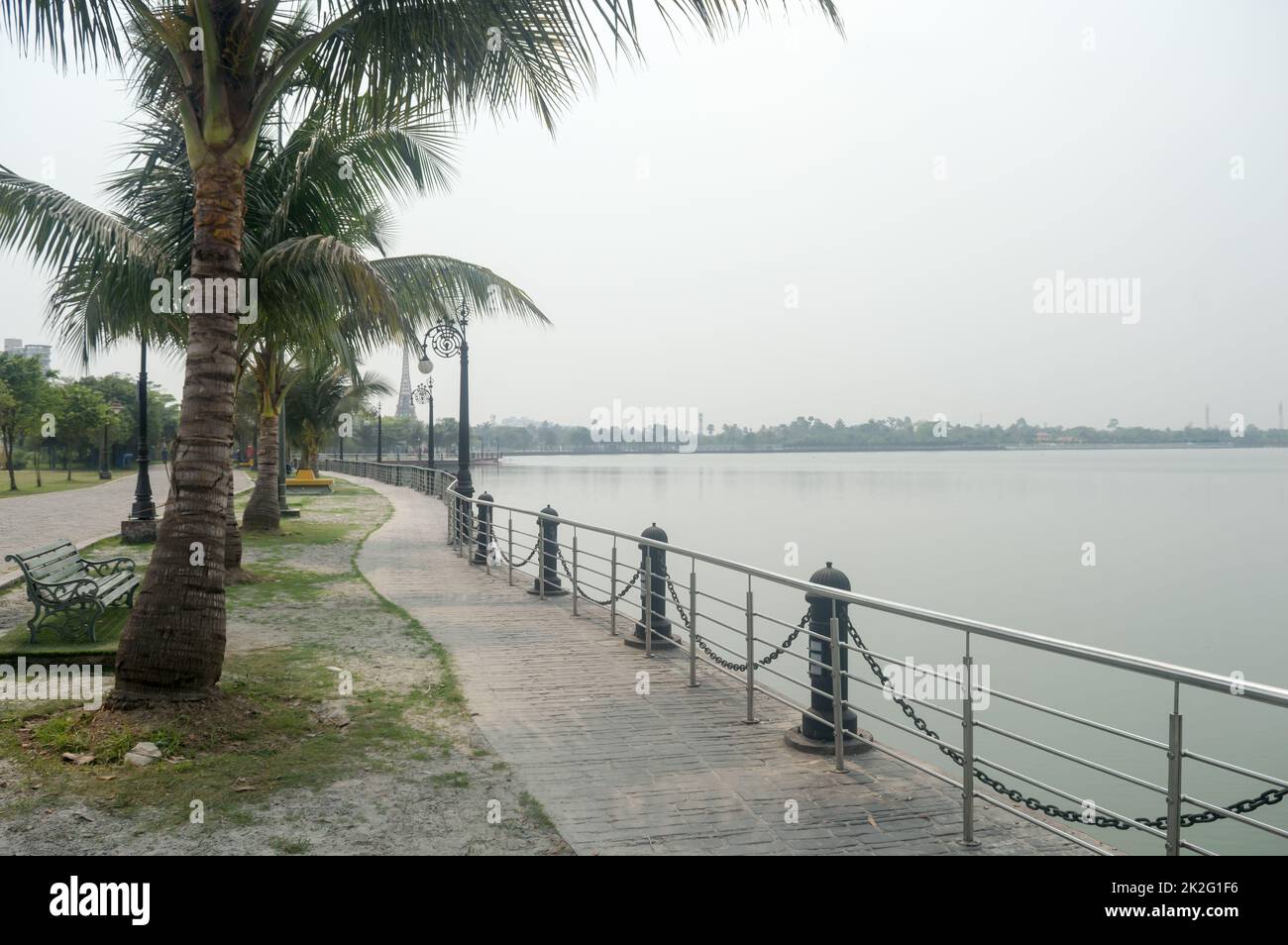 Coconut palm trees along the lake in public park- natural landscape background in sunset summer. Eco tourism park Kolkata India South Asia Stock Photo