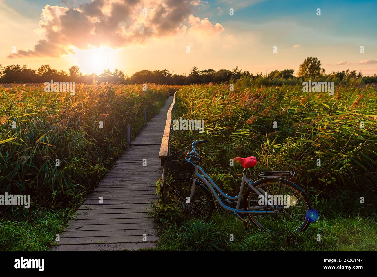 Beautiful landscape on a green Strandengen meadow. The bicycle stands near a wooden bridge that goes across the lake, overgrown with various vegetation against the sunset. Copenhagen, Denmark Stock Photo