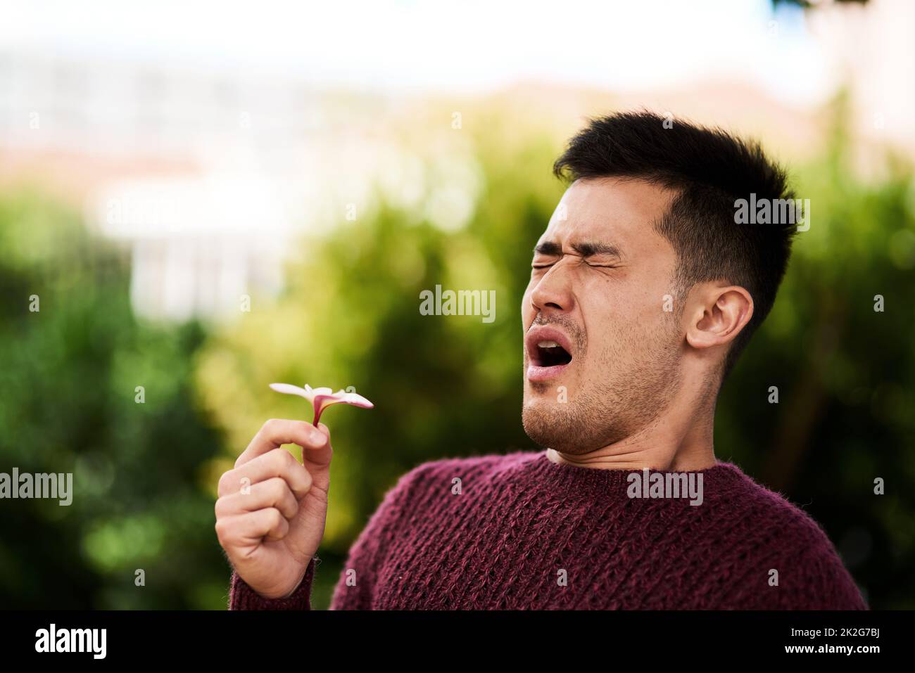 Hayfever season. Cropped shot of a young man sneezing after smelling a flower. Stock Photo