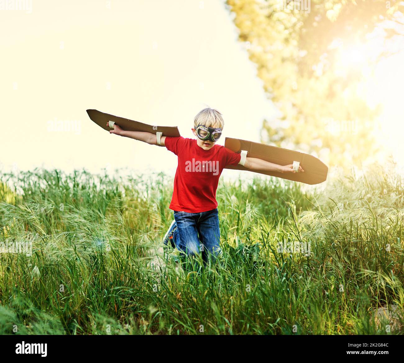 Child Pretending To Fly Images – Browse 5,545 Stock Photos, Vectors, and  Video