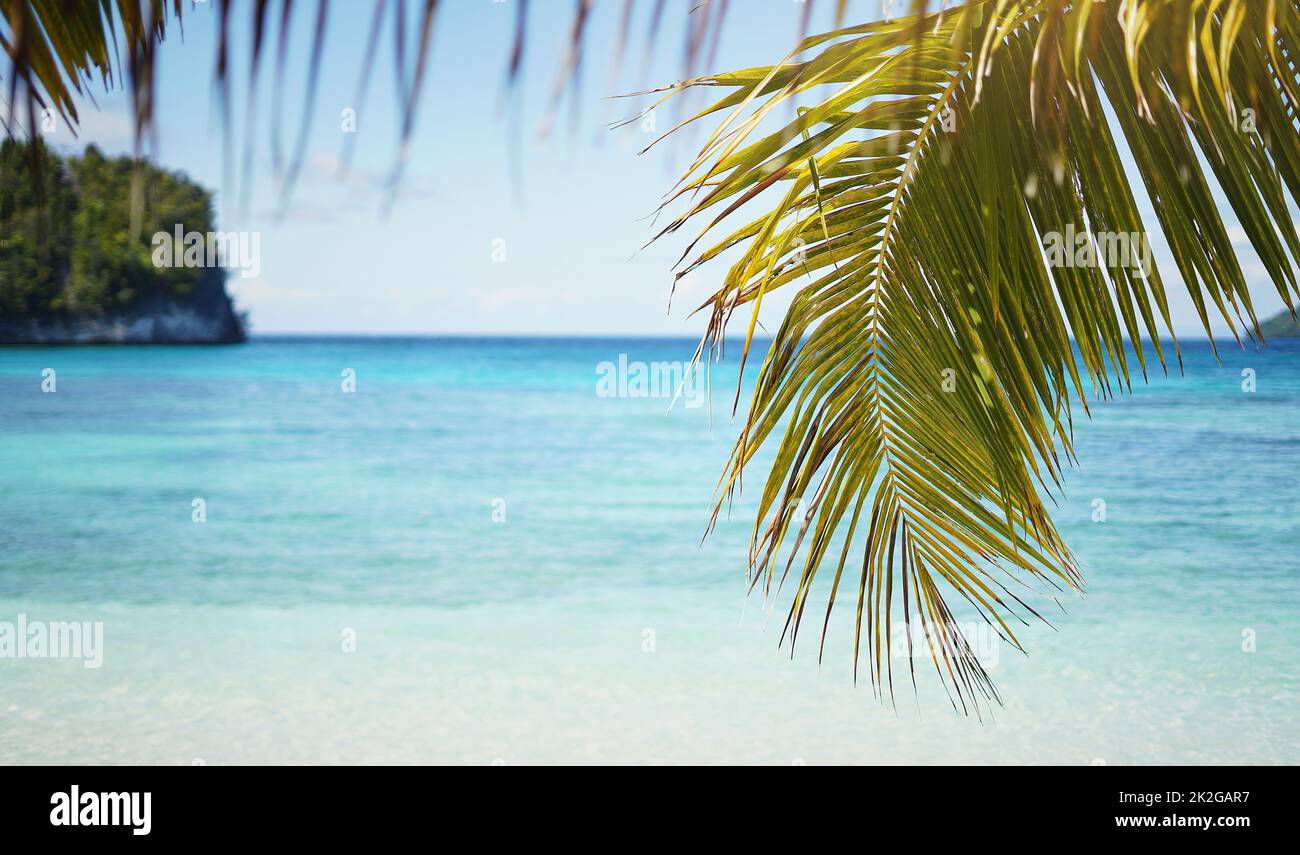 Picturesque. Beautiful shot of a scenic tropical climate. Stock Photo