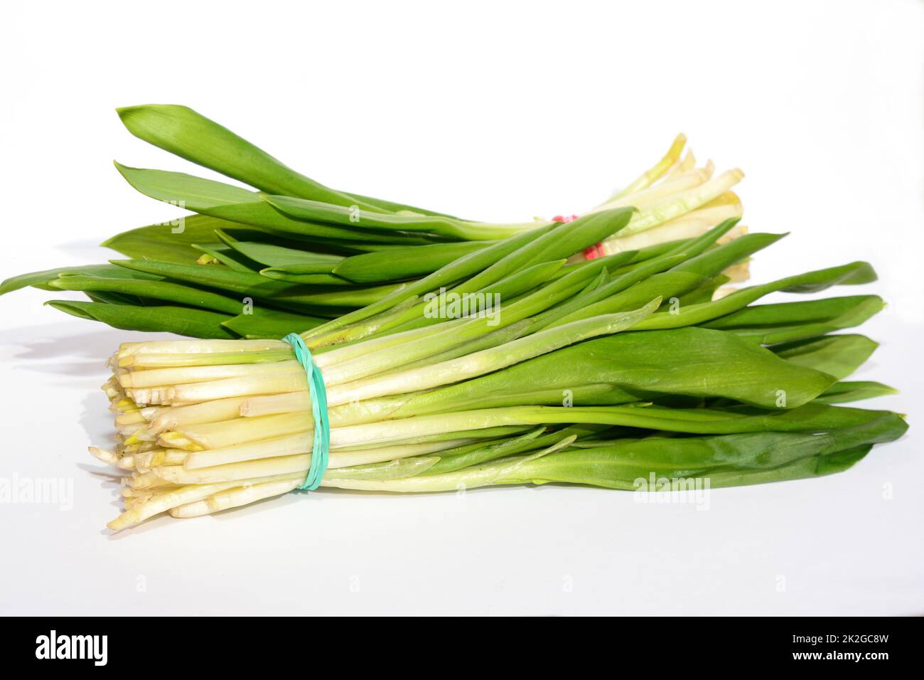Allium ursinum – known as ramsons, buckrams, wild garlic, broad-leaved garlic, wood garlic, bear leek, or bear's garlic isolated on white background Stock Photo