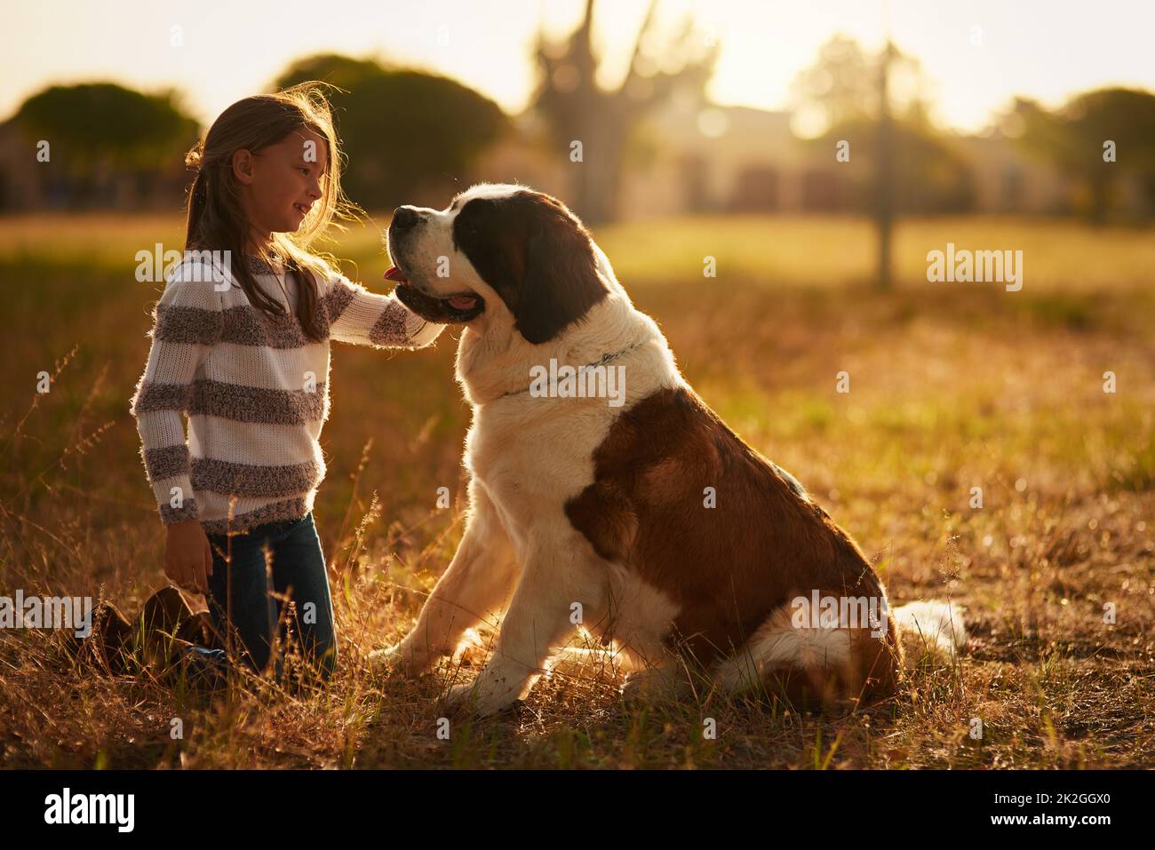 Whos a good boy. Shot of a cute little girl teaching her dog a trick while they play outside. Stock Photo