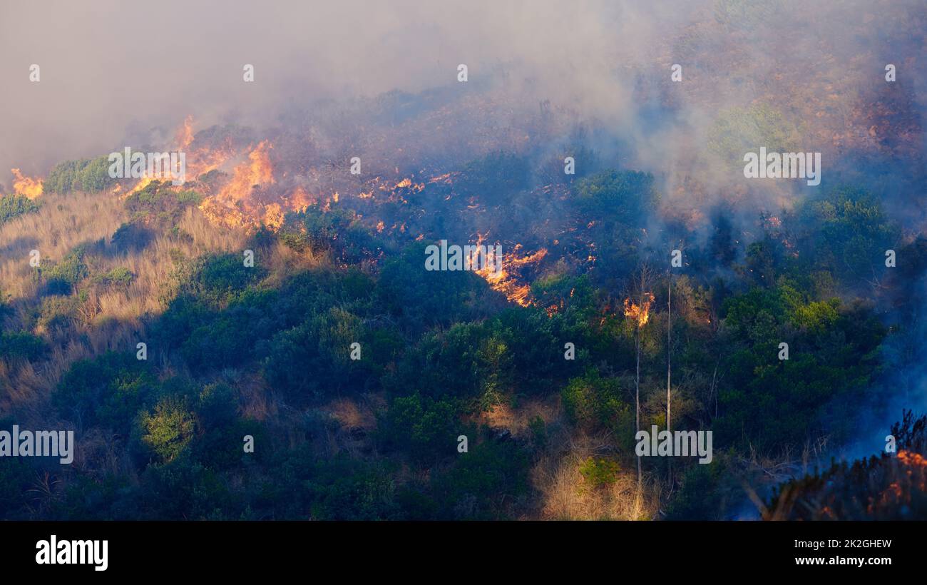 Raging inferno. Shot of a wild fire burning. Stock Photo