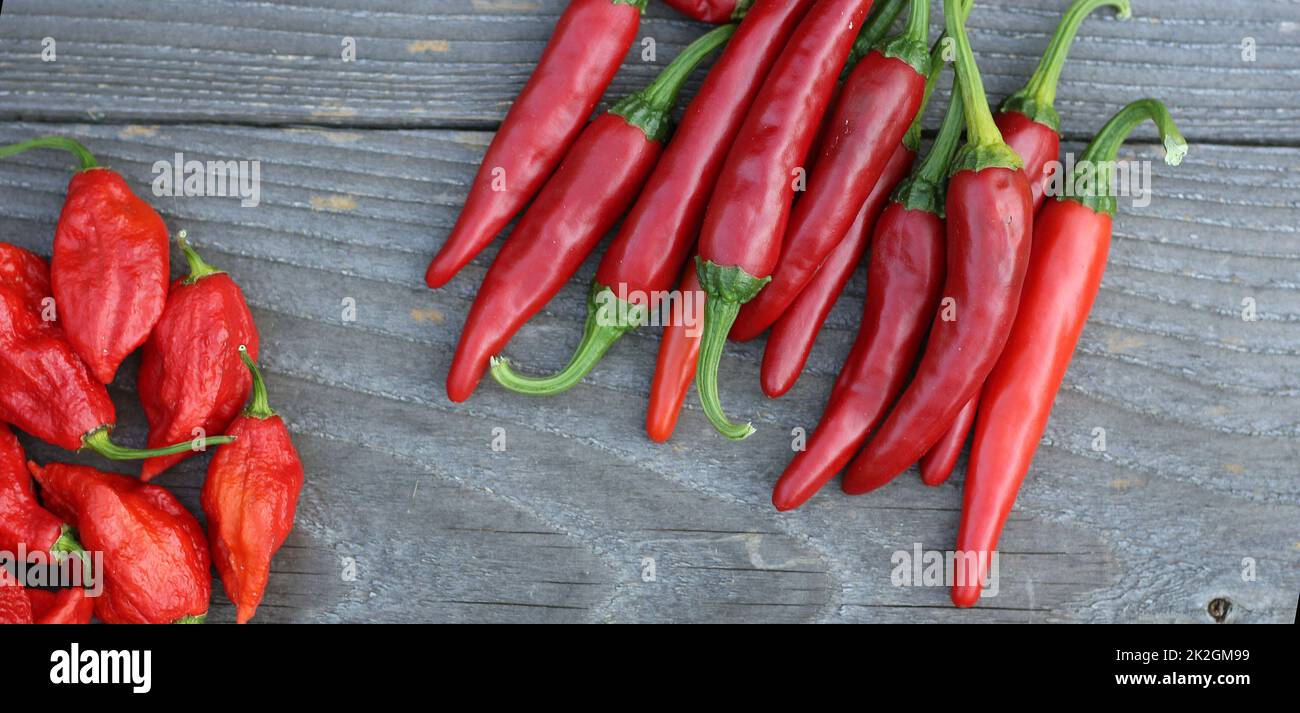 Fresh Peppers outdoors at rural farmers market, Jalapeno, Cayenne and