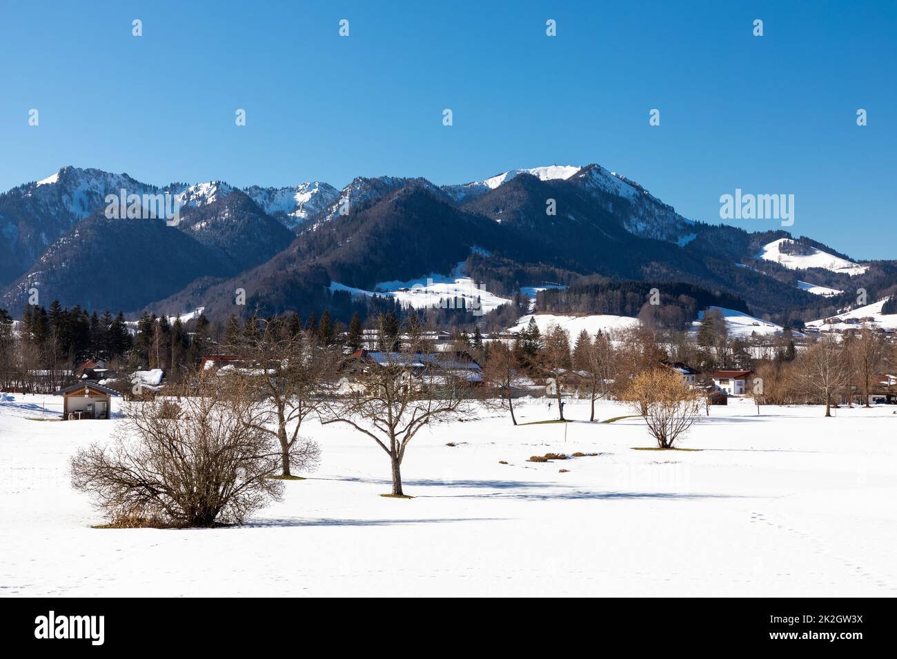 Trees in snowy Ruhpolding, Bavaria, Germany in front of mountain panorama Stock Photo