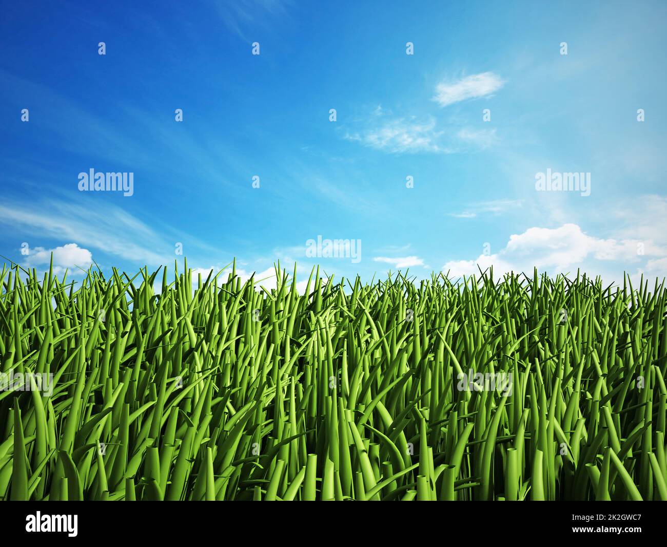 Grass isolated on white background Stock Photo - Alamy