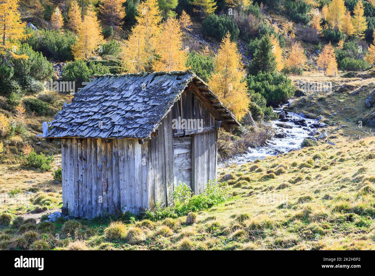 Old weathered shed by the creek Stock Photo