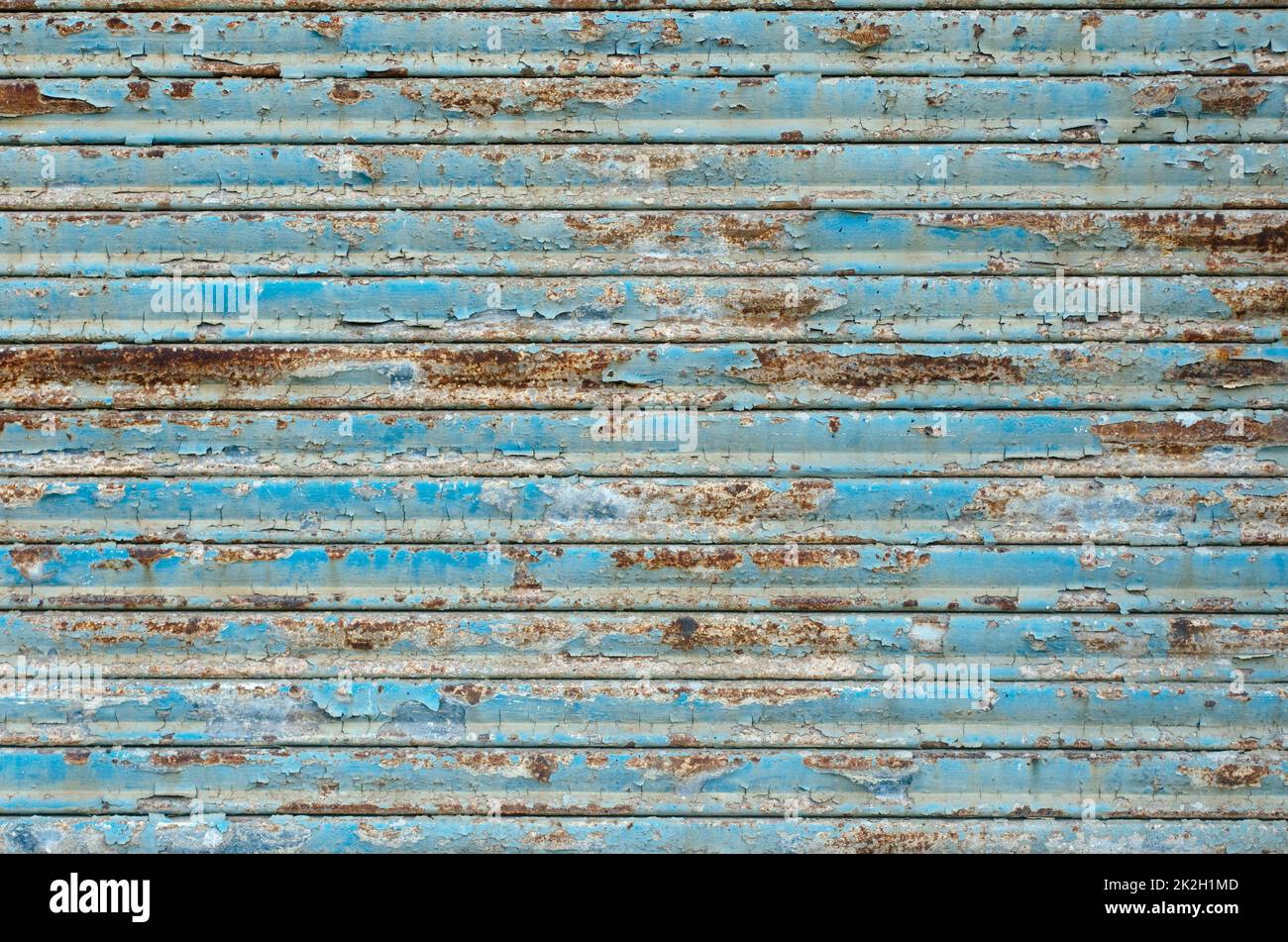 Rusty garage door. bright blue paint peeling off a rusty iron garage