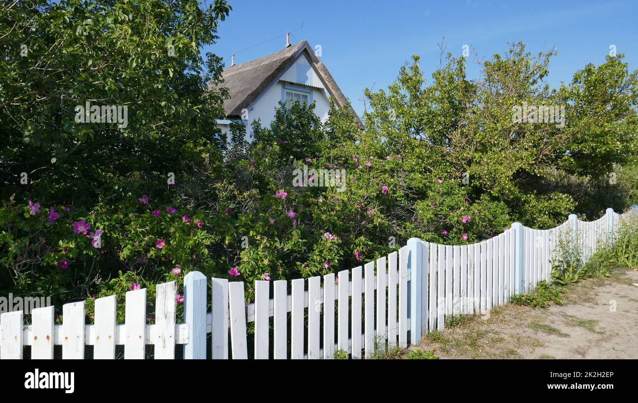 Thatched cottage white picket fence hi-res stock photography and images ...