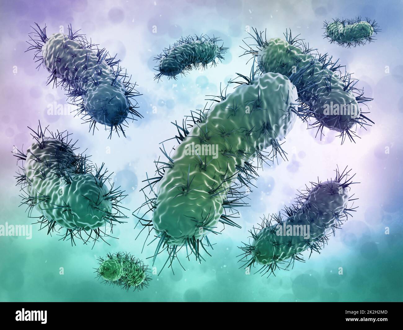 Bacteria under microscope Stock Photo Alamy