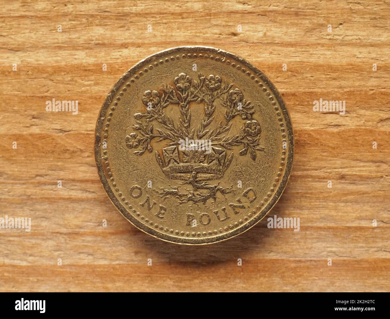 1 Pound coin, reverse side showing flax plant and diadem representing