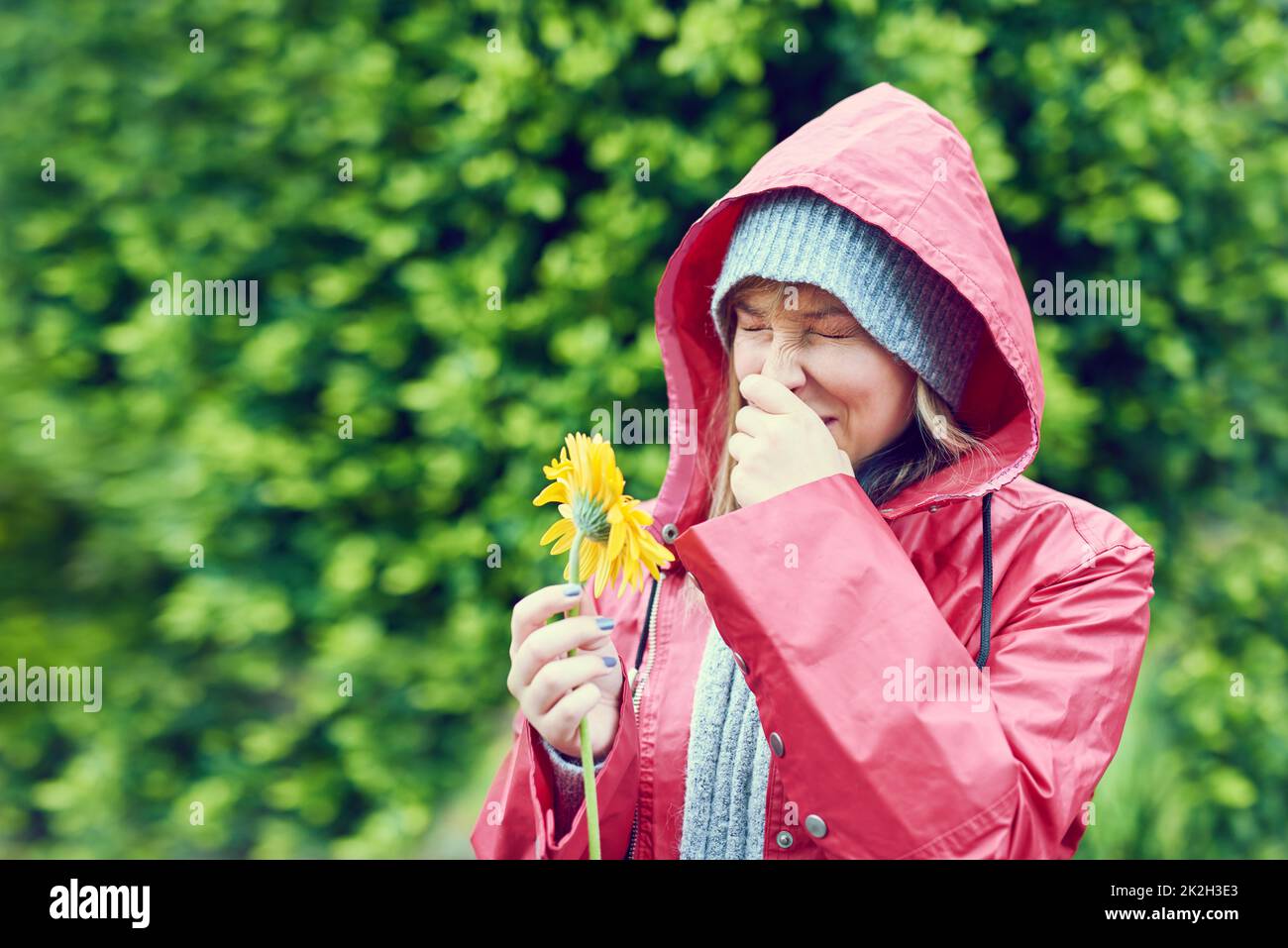 The pollen is making me sneeze. Cropped shot of a young woman smelling