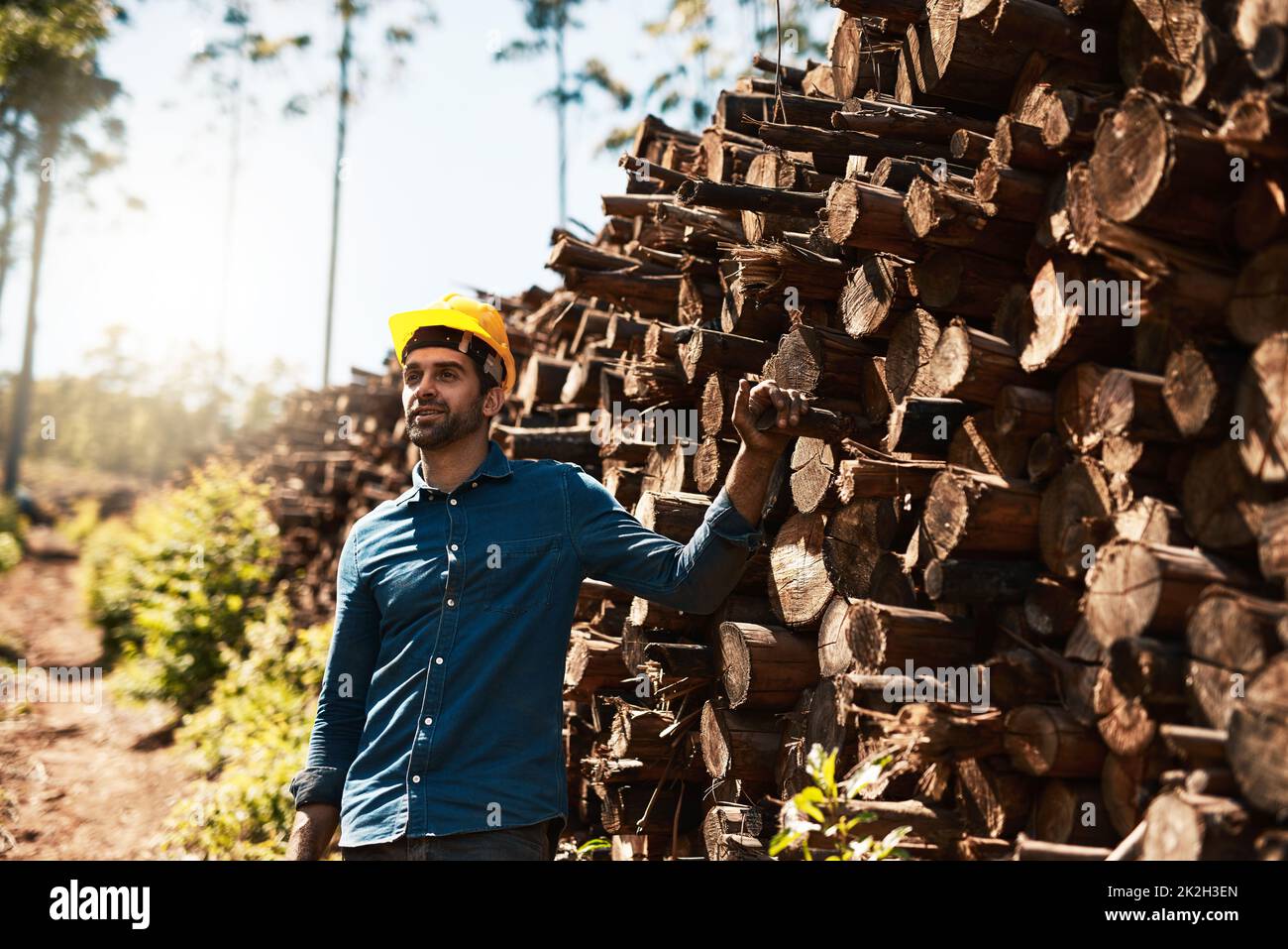 On the lookout for more lumber. Cropped shot of a lumberjack standing in front of a pile of wood. Stock Photo