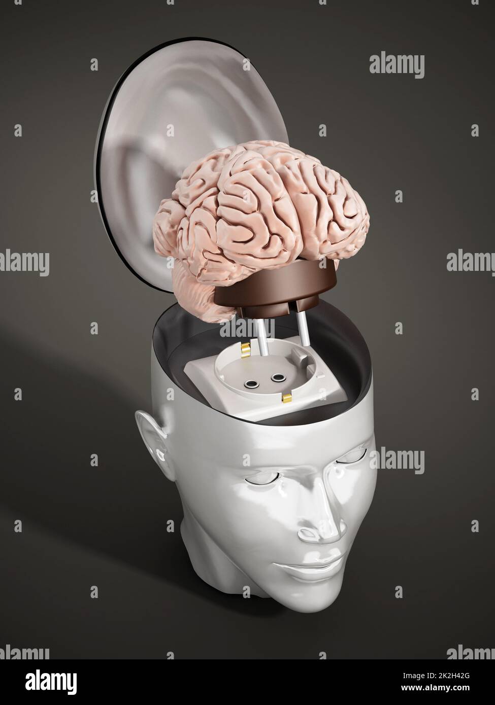 Brain with electricity plug connected to the human head Stock Photo Alamy
