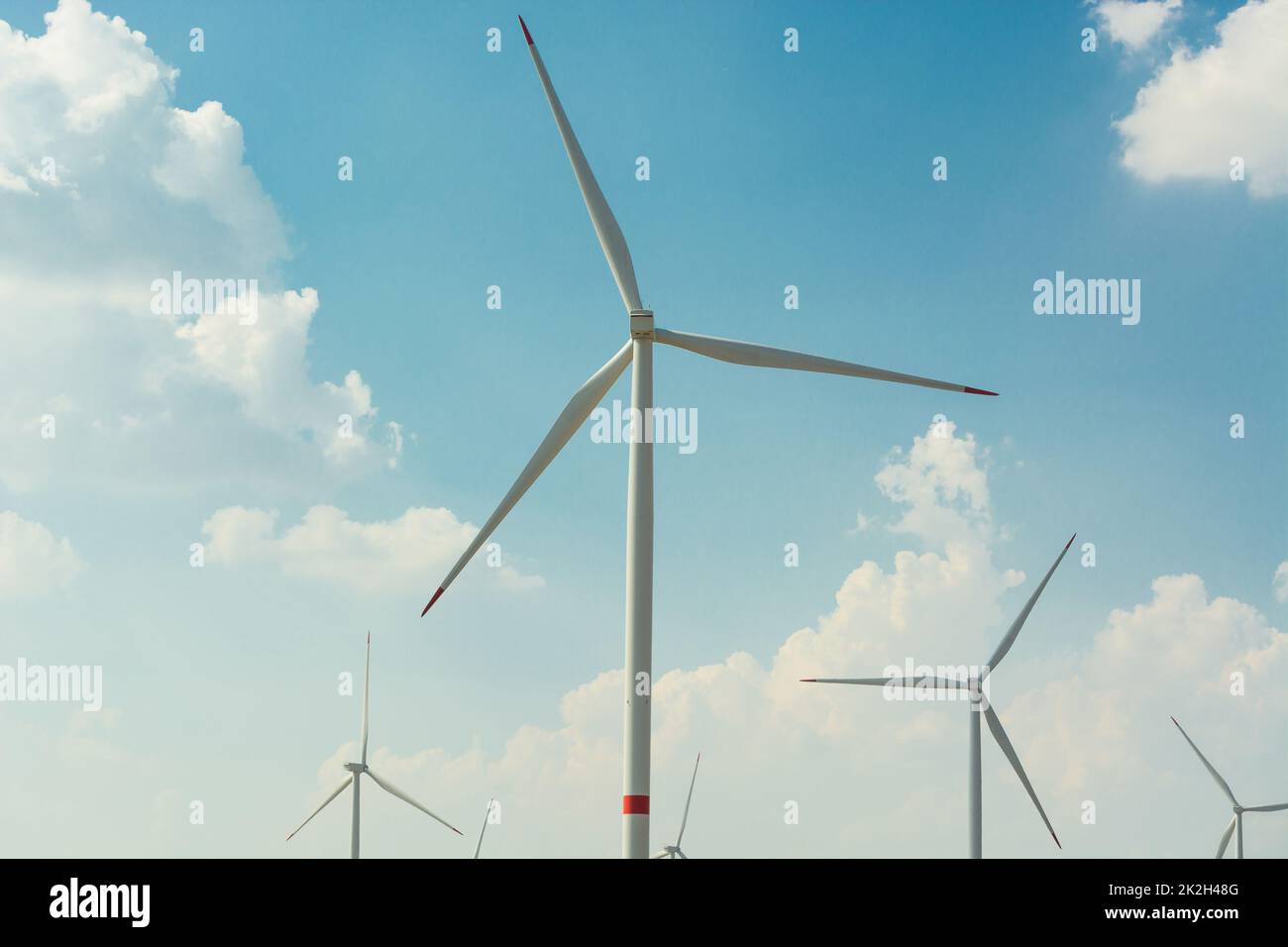 Sustainable green energy. Electric windmill generators in the sunrise Stock Photo