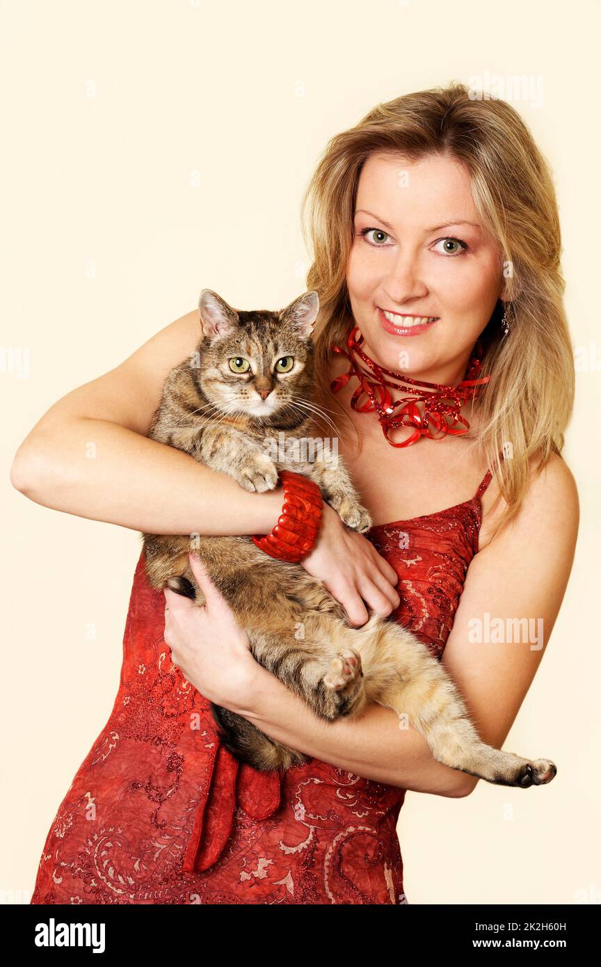 Two cats Stock Photo