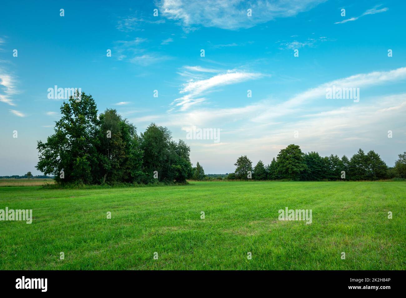 Green trees on the horizon hi-res stock photography and images - Alamy
